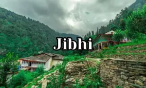 Things to do in Jibhi: Listen to the Beautiful Bird Songs in the Great Outdoors | HotelYaari